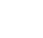 ʵ������
